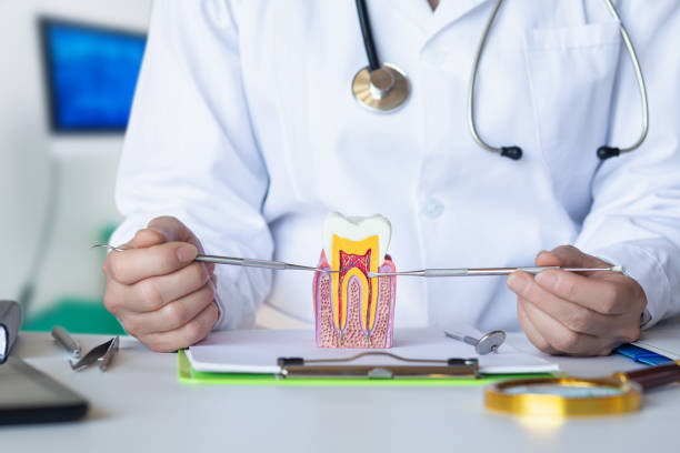 Best Tooth Pain Emergency Relief  in Colstrip, MT